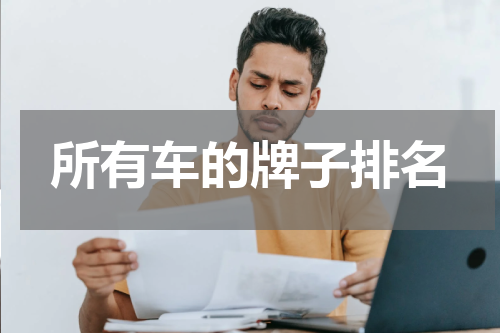 所有车的牌子排名