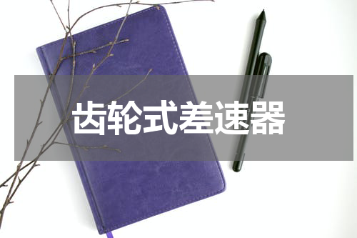 齿轮式差速器