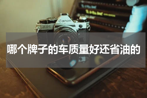 哪个牌子的车质量好还省油的