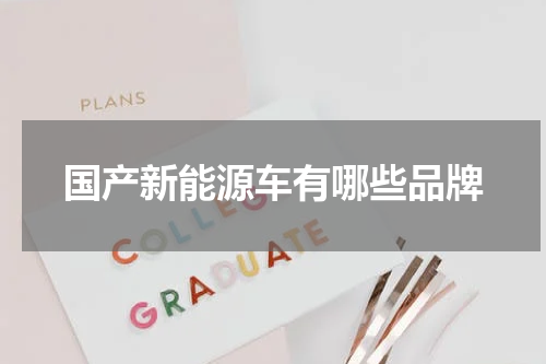 国产新能源车有哪些品牌