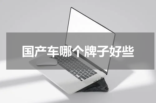国产车哪个牌子好些
