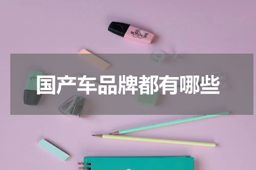 国产车品牌都有哪些