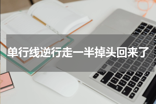 单行线逆行走一半掉头回来了