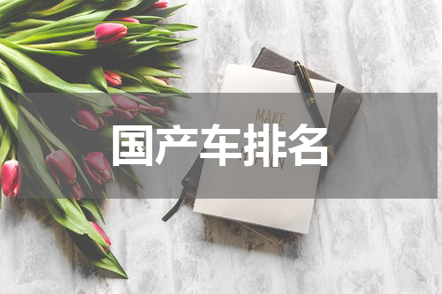 国产车排名