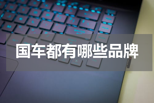国车都有哪些品牌