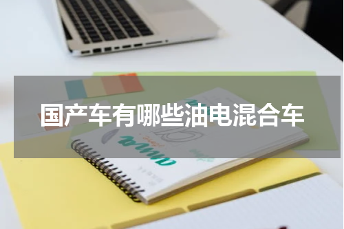 国产车有哪些油电混合车