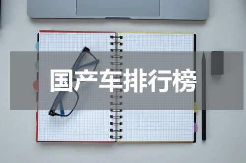 国产车排行榜
