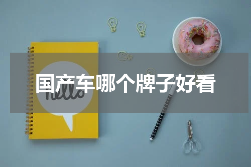 国产车哪个牌子好看