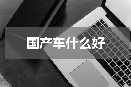 国产车什么好