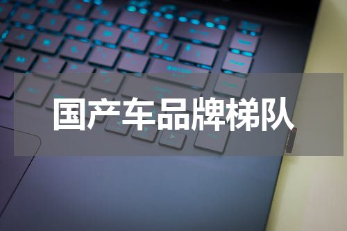 国产车品牌梯队