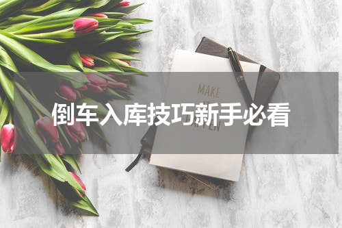 倒车入库技巧新手必看