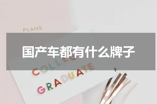 国产车都有什么牌子