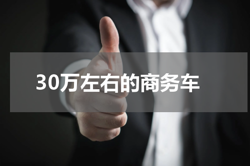 30万左右的商务车