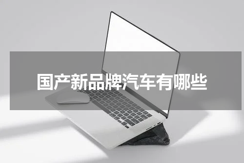 国产新品牌汽车有哪些