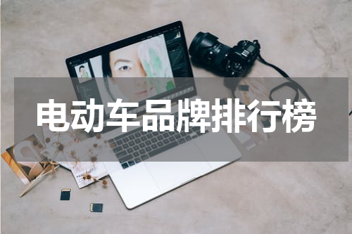 电动车品牌排行榜