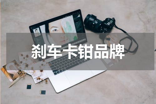 刹车卡钳品牌