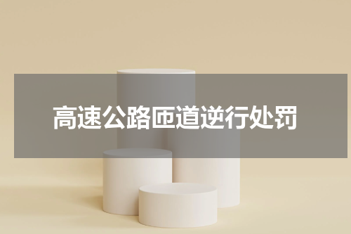 高速公路匝道逆行处罚