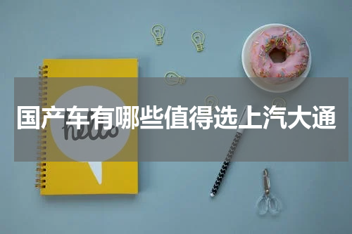 国产车有哪些值得选上汽大通