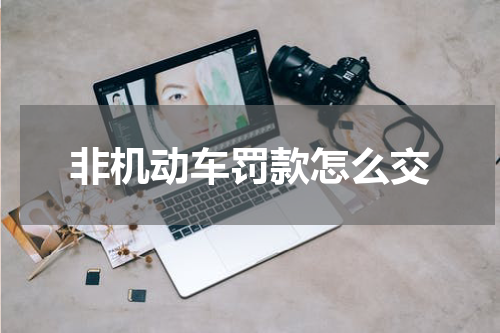 非机动车罚款怎么交