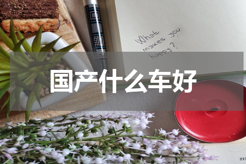 国产什么车好
