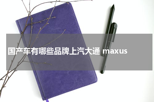 国产车有哪些品牌上汽大通 maxus