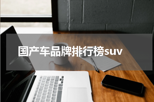 国产车品牌排行榜suv