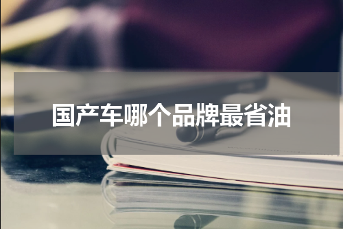 国产车哪个品牌最省油