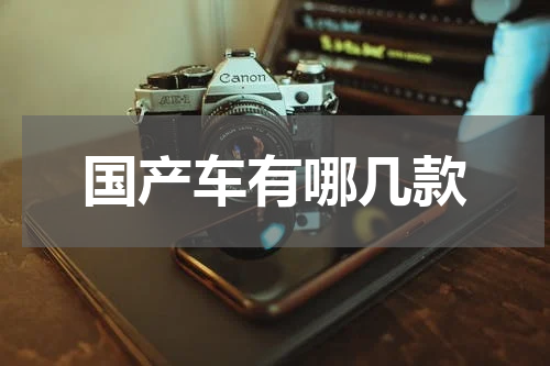 国产车有哪几款