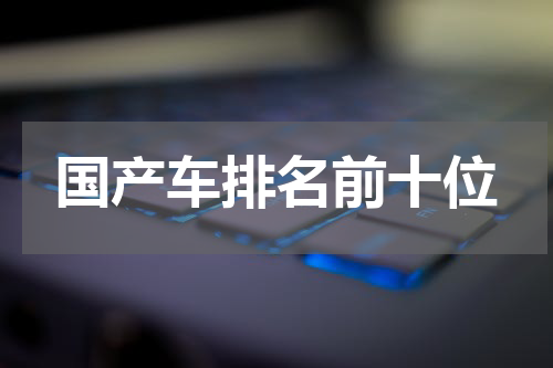 国产车排名前十位