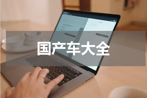 国产车大全