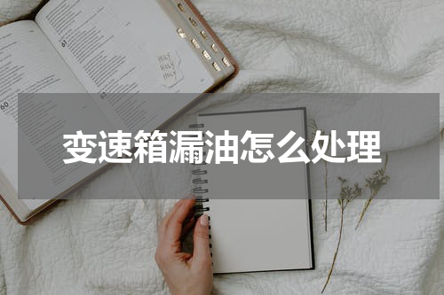 变速箱漏油怎么处理