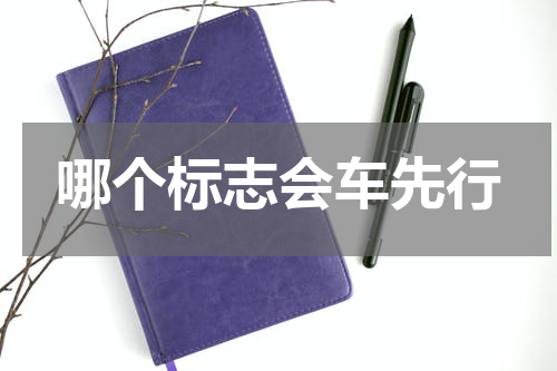 哪个标志会车先行