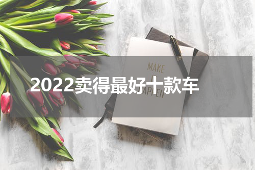 2022卖得最好十款车