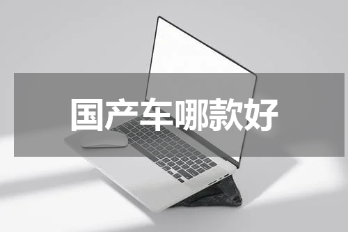 国产车哪款好