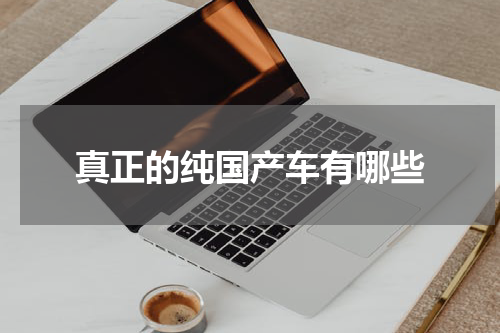 真正的纯国产车有哪些