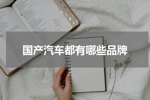 国产汽车都有哪些品牌