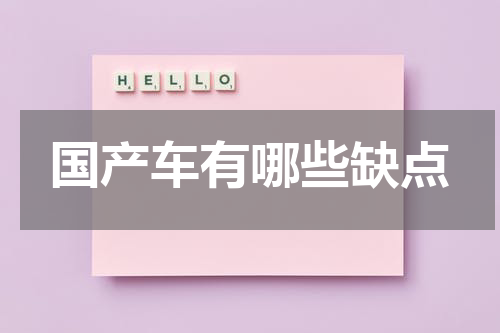 国产车有哪些缺点