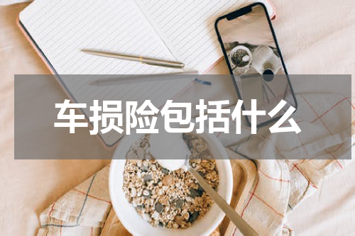 车损险包括什么