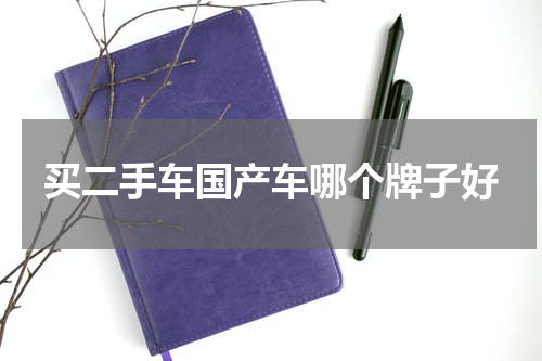 买二手车国产车哪个牌子好