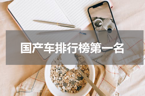 国产车排行榜第一名