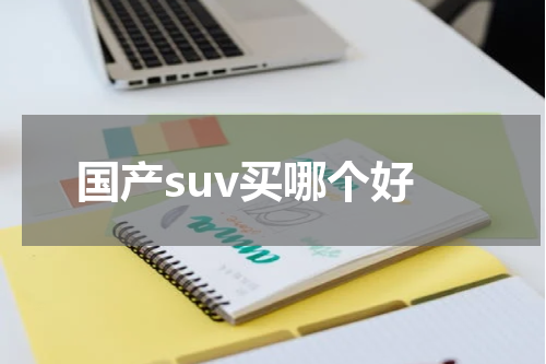 国产suv买哪个好