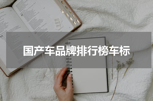 国产车品牌排行榜车标