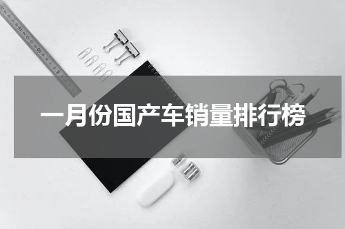 一月份国产车销量排行榜
