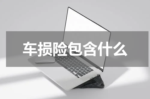 车损险包含什么