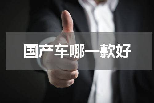 国产车哪一款好