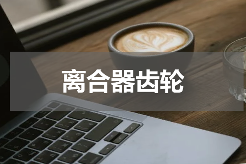 离合器齿轮