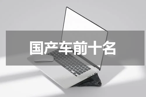 国产车前十名