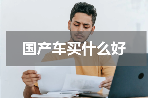 国产车买什么好