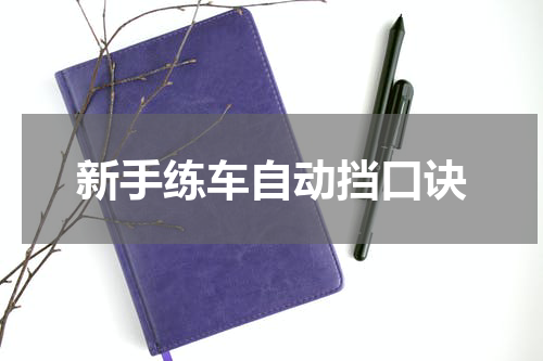 新手练车自动挡口诀