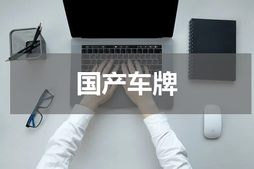 国产车牌